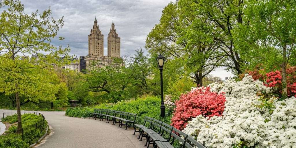 NYC Parks